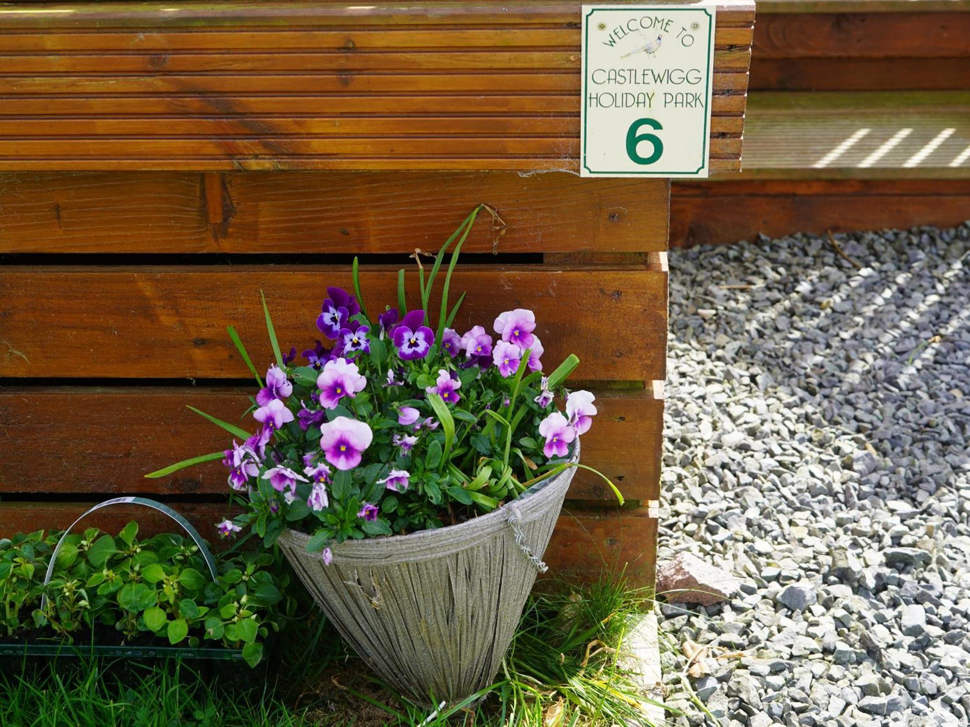 Roe Deer Lodge Newton Stewart Eksteriør bilde